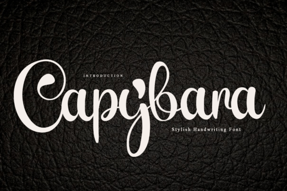 Capybara: A Handwritten Font for Authentic Digital Style