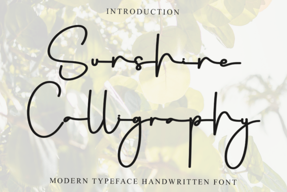 Why Sunshine Calligraphy is My New Go-To Handwritten Font
